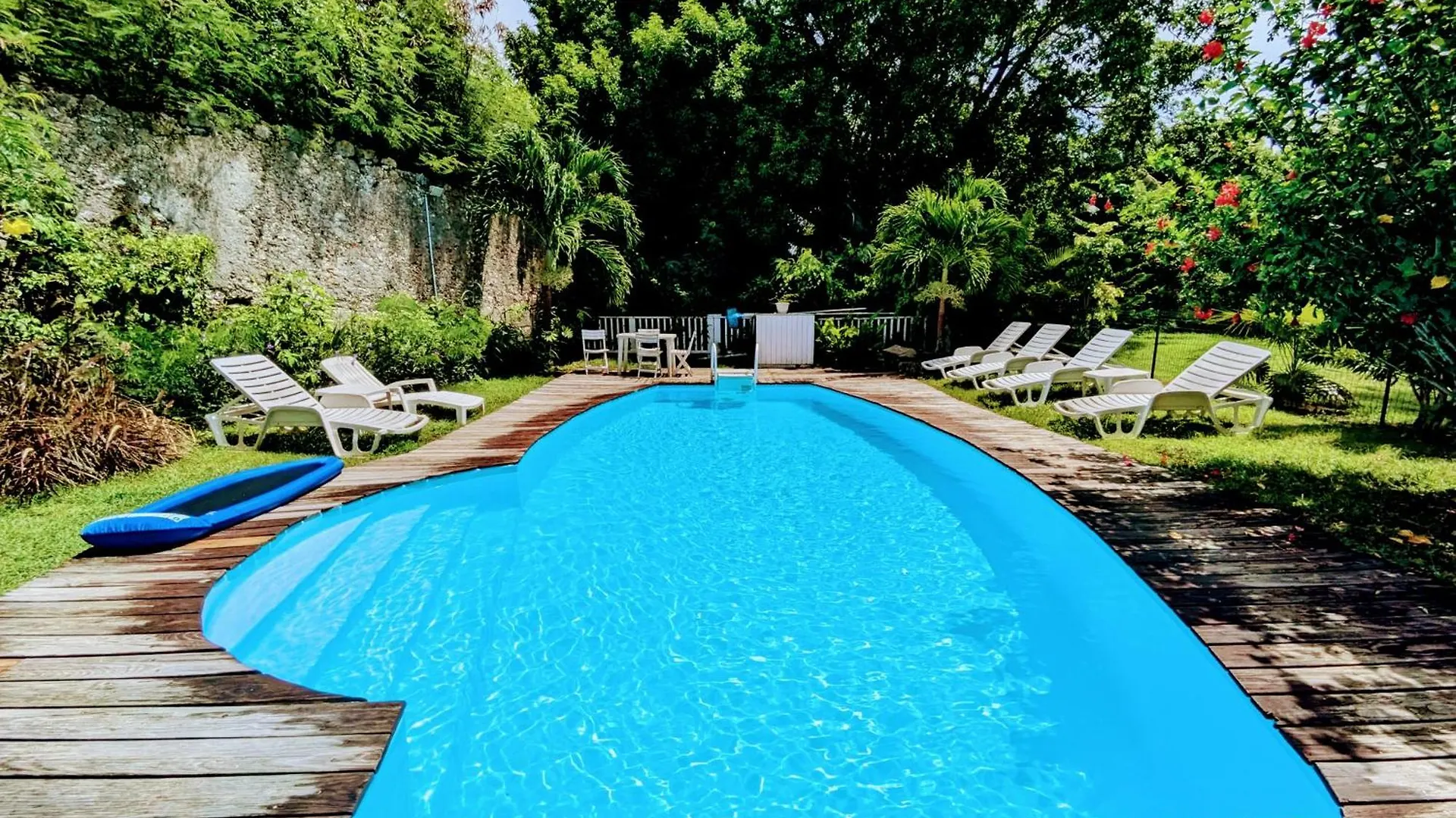 Appartement Grand Studio Plein De Charme Sainte-Anne